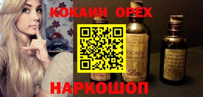индика Новодвинск