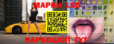 индика Новодвинск