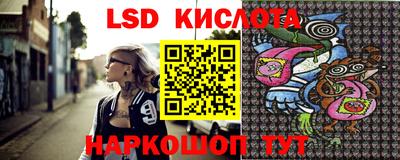 индика Новодвинск