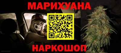 индика Новодвинск