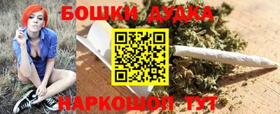 спиды Новозыбков