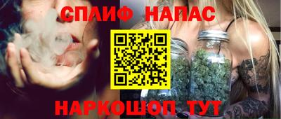 индика Новодвинск