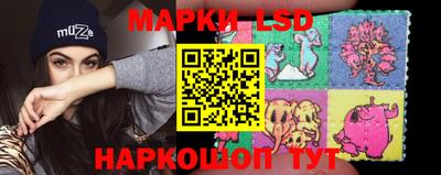 индика Новодвинск