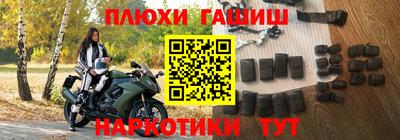индика Новодвинск