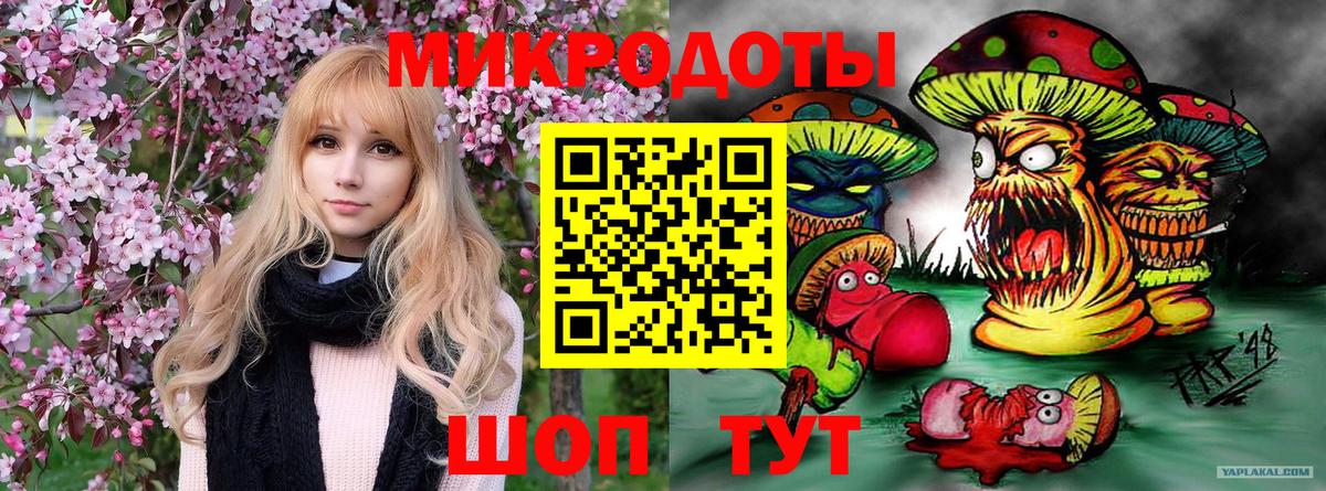 Псилоцибиновые грибы мухоморы Серпухов