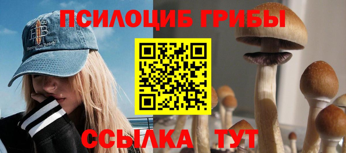 Серпухов  Псилоцибиновые грибы мухоморы  цена наркотик  Вход с VPN 